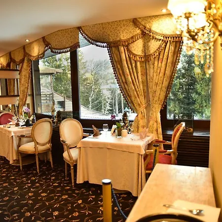 Executive Munte Alpin Apartment Poiana Brasov