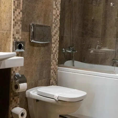 Executive Munte Alpin Apartment Poiana Brasov